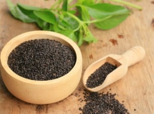 A close-up shot of a wooden container filled with freshly harvested black harvest germs of an herb, showcasing how to save basil seeds