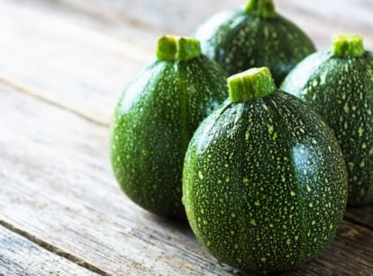A close-up shot of several round fruits of a summer squash variety, showcasing heirloom zucchini varieties
