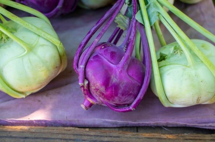 A focused shot of multiple variations of the German turnip, that shows kohlrabi harvest