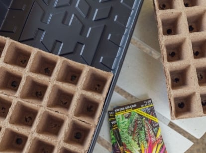 Overhead view of seed starting tray