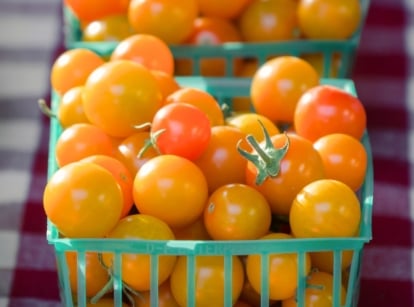 Green baskets filled with small, vibrant orange 'Sungold' tomatoes; each tomato glowing with a rich hue.