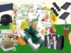 A colorful display of Black Friday gardening bargains featuring seeds, tools, starting trays, various accessories, and planters arranged attractively on a beige background.