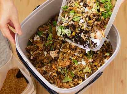 This image captures a hand pouring a liquid mixture onto a collection of organic food scraps, including fruit and vegetable peelings, inside a white bucket used for fermentation.