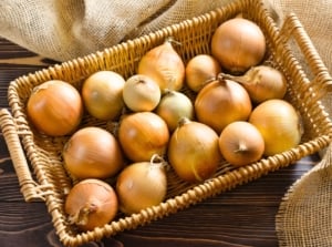 A wicker basket filled with golden onion bulbs, their smooth, shiny skins reflecting light as they cure onions for future use.