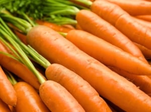 danvers carrots