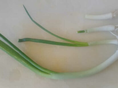 Regrow Green Onions