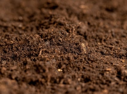 Close-up of rich, dark, finely textured earth, showcasing its readiness for planting or cultivation.