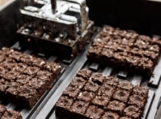 Close-up of small, evenly cut, moist cubes sitting in a tray, each with neat, compacted square shapes, rich brown and textured, waiting for seeds to be placed inside, while the metallic pressing tool rests on the surface.