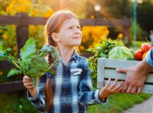 Gardener summer solstice, holding a box of crops while facing a little girl holding a piece of produce