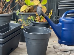 A blue watering can placed next to various black and gray pots of different sizes, with a pair of gardening gloves lying nearby.