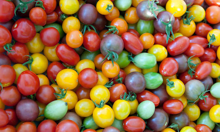 Growing cherry tomatoes