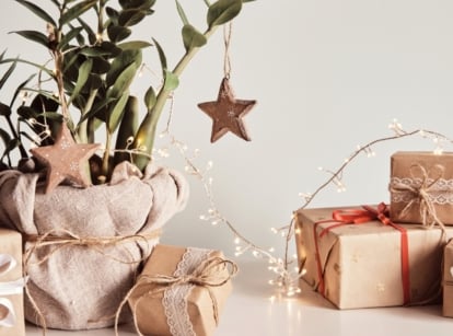 A potted Zamioculcas wrapped in burlap with a bow made of twine sits besides several gift boxes for the houseplant enthusiast wrapped in decorative paper and lace, complemented by a Christmas garland with warm lights.