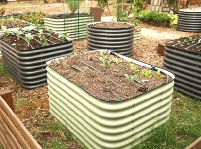 metal raised beds heat