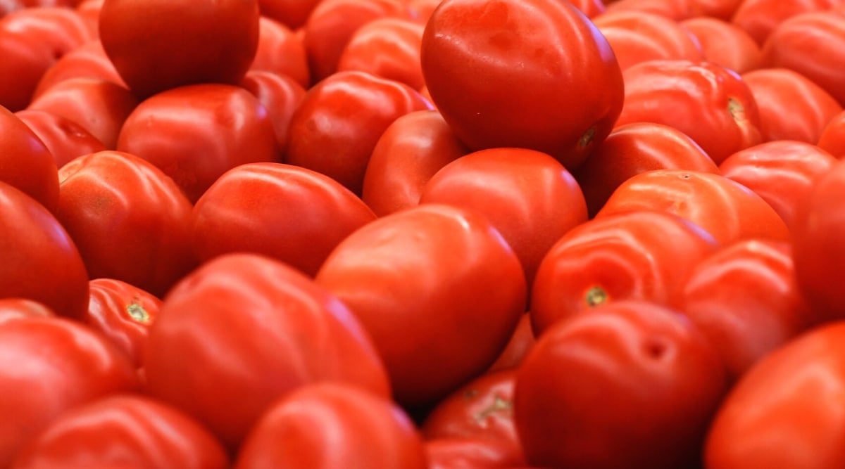 Close view of multiple round and smooth bright red fruits without calyxes in a pile.