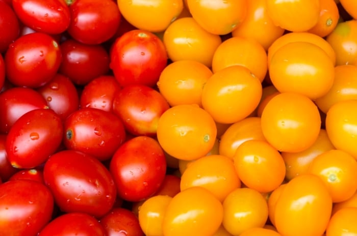 A cluster of ripe cherry tomatoes, vibrant reds and yellows mingling; their surfaces shimmering with droplets of moisture.