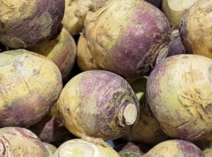 The Rutabagas roots, displayed in a wooden box, are globe-shaped with a firm, waxy skin that showcases a rich purple color at the top, fading to a light yellow near the base.