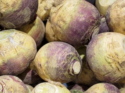 The Rutabagas roots, displayed in a wooden box, are globe-shaped with a firm, waxy skin that showcases a rich purple color at the top, fading to a light yellow near the base.