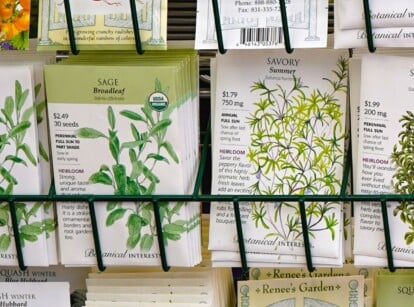 Close-up of different seed packets on the store counter. Botanical Interests seed packets are characterized by their visually appealing and informative design. Featuring vibrant and detailed botanical illustrations, these packets provide a clear depiction of the mature plant's appearance, complete with flowers, foliage, and sometimes fruit.