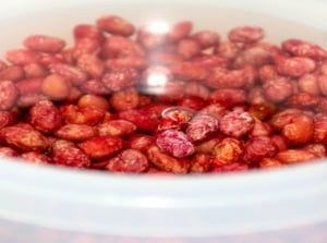 Seeds need scarification. Close-up of bean seeds soaking in water in a white tray. Pink kidney beans, distinguished by their smooth, kidney-shaped form, boasting a delicate pink hue with beige tones. The surface of the seeds is slightly wrinkled due to exposure to water.