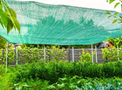 shade cloth hanging over green plants
