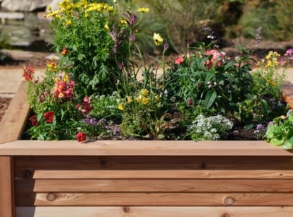 A wooden raised bed filled with colorful flowers and lush green plants, basking in the sunlight. In the background, a garden teems with life, offering a vibrant backdrop to the tranquil beauty of the bed.