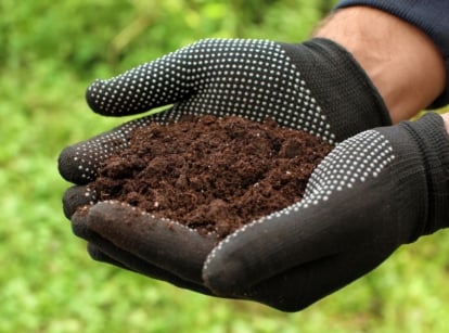 A person wearing black gloves holding dark brown soil mixed with azomite fertilizer using two hands