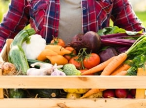 A farmer woman in a plaid shirt holds a wooden box with freshly harvested survival garden vegetables, including potatoes, carrots, beets, tomatoes, garlic, onions, zucchini and more.