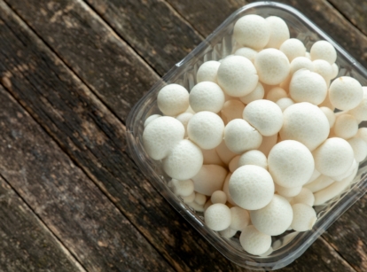 A close-up of store-bought white shimeji mushrooms, featuring delicate clustered caps, arranged in a glass bowl set on a rustic brown wooden table.